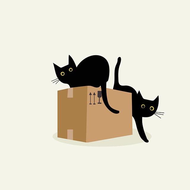 Playful Marmalade Cats