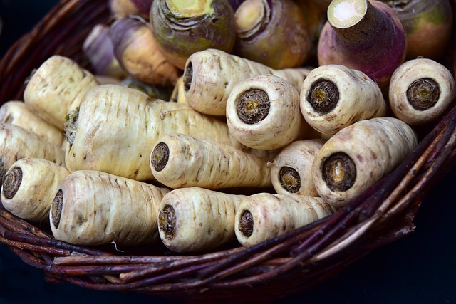root-canals-640x480-1097399.jpeg