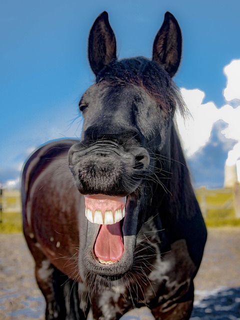 teeth whitening