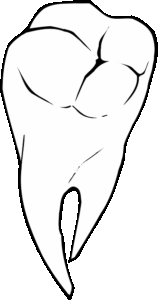 tooth-extractions-640x480-99007184.png