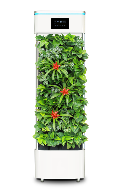 air purifiers