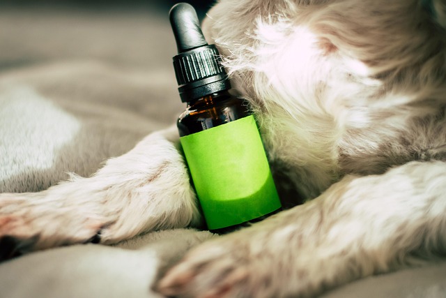 best air purifier for pets