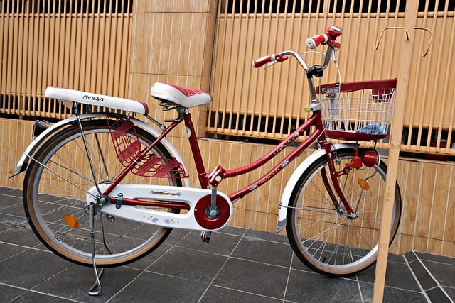 bicycle injury