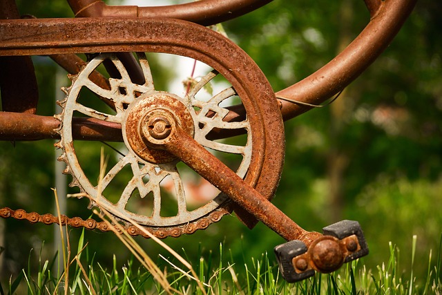 bicycle injury