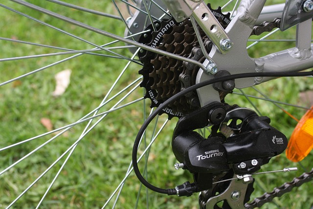 bicycle injury