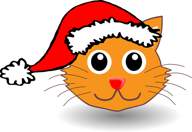 Cute Orange Cats