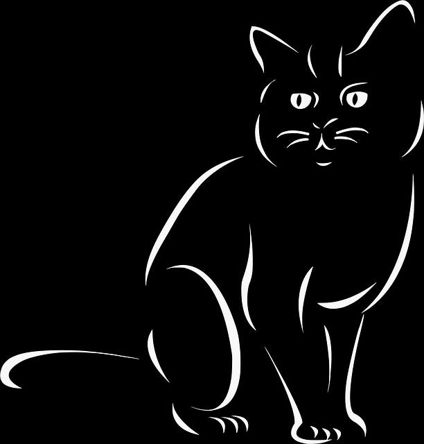 Domestic Cats