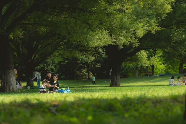 Comprehensive Family Dentistry: Care for Every Stage of Life