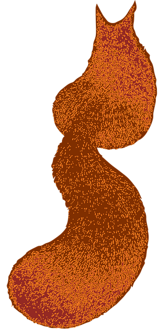 Ginger Cats