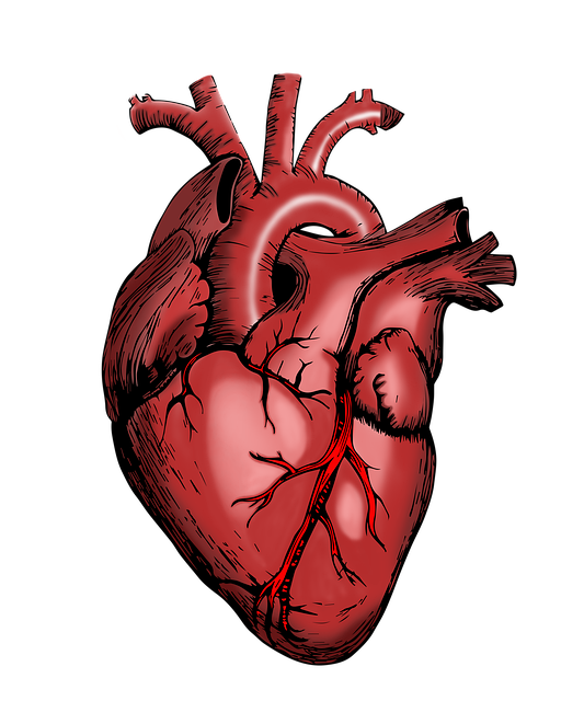 medical malpractice injuries