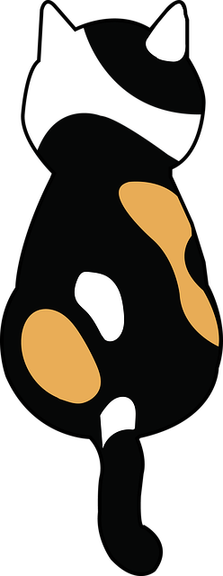 Orange Cat Resources