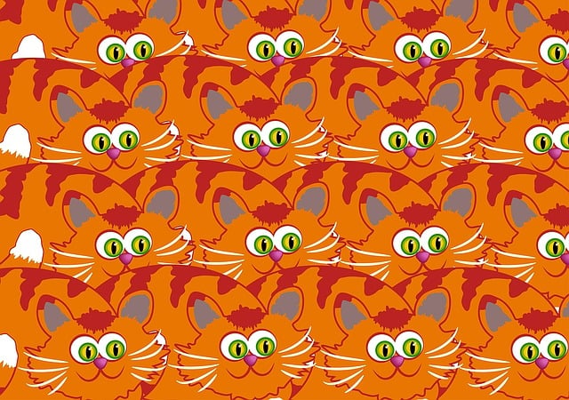 Orange Cat Resources