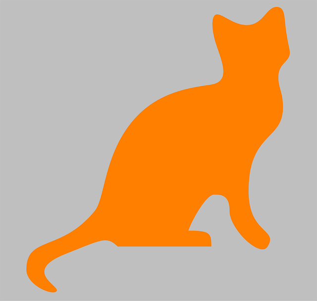 Orange Cats