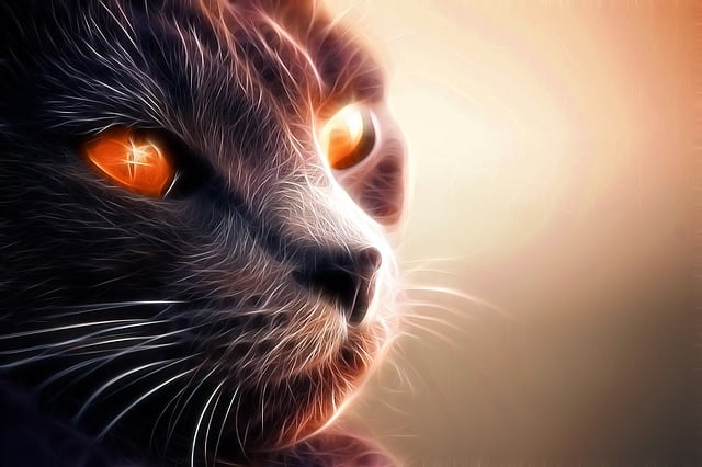 Orange Felines