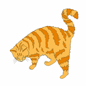 orange-tabbies-640x480-54059266.png