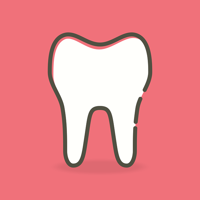 orthodontics dentistry