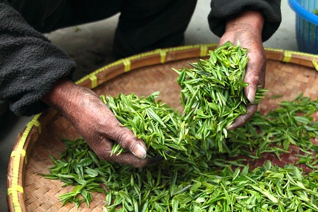 Peppermint Tea