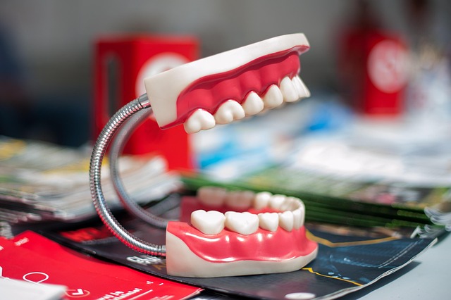 periodontics dentistry