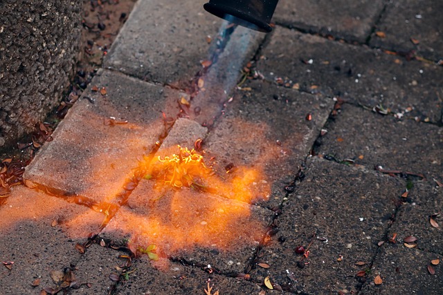Leak Detection Pros: Reliable Care and Efficient Repairs