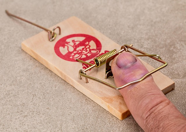 Navigate Premises Injury Claim Process Effortlessly