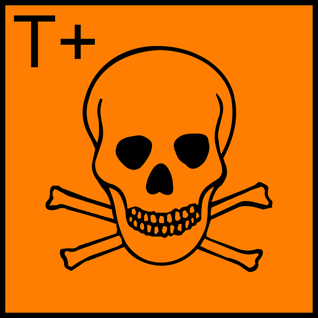 preventive-care-640x480-62922424.png