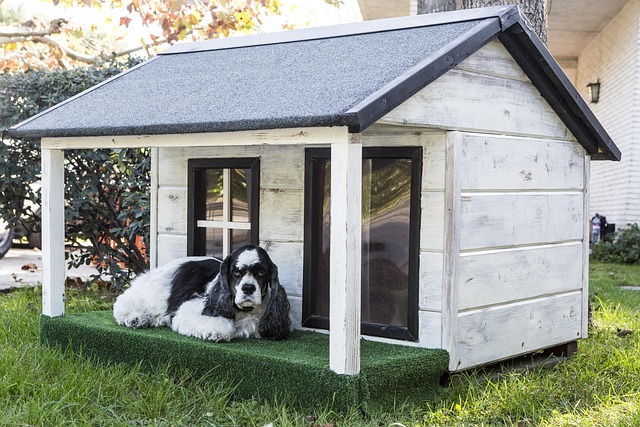 Breathe Easier With Pets: The Transformative Power of Air Purifiers for a Healthier Home