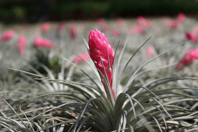best air purifiers