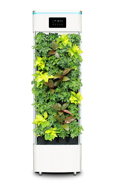 best air purifiers
