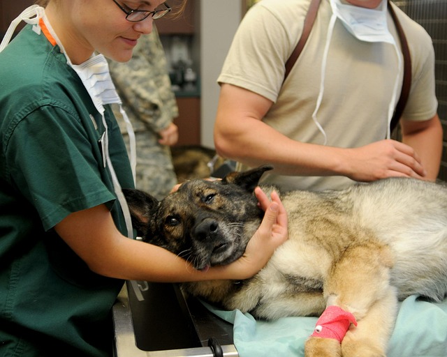 dental checkups