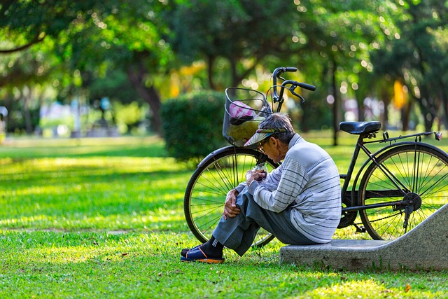Nurturing Seniors' Well-being: The Power of Elderly Companion Services at Home