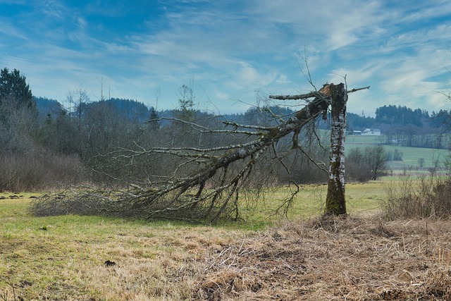 hurricane damage injuries