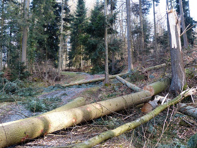 hurricane damage injuries