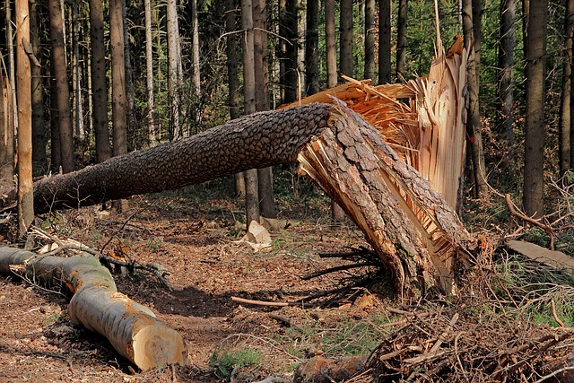hurricane-damage-injuries-640x480-45608467.jpeg
