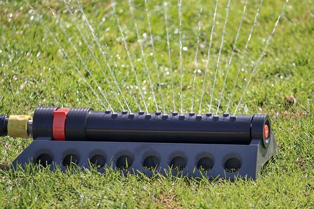 Lawn Care