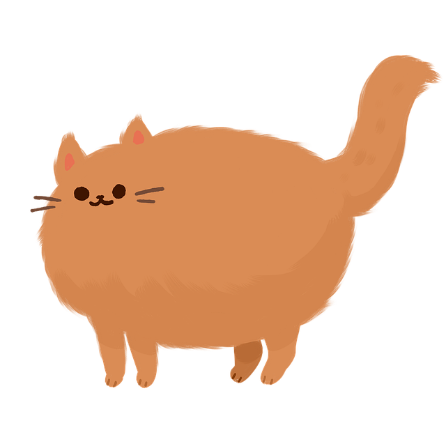 Orange Tabby