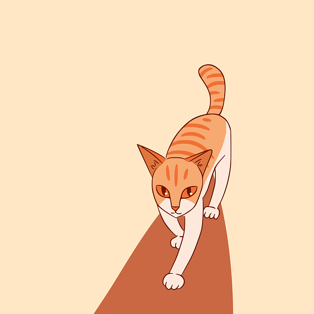Orange Tabby Cats