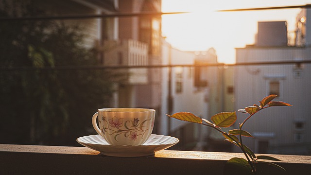 Peppermint Tea Benefits