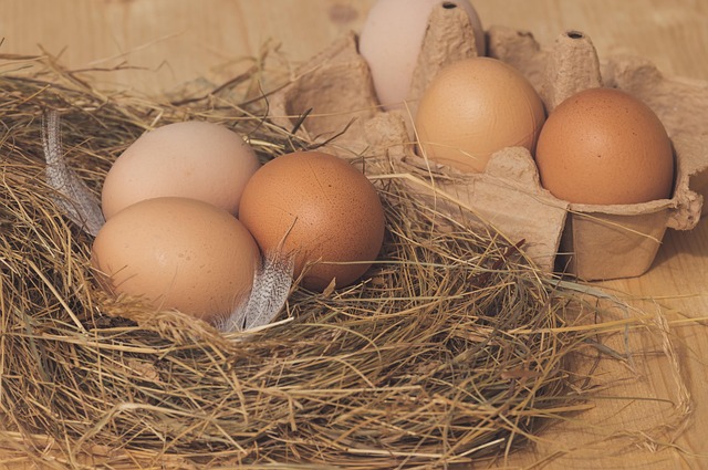 Navigating Product Liability Claims for Personal Injuries