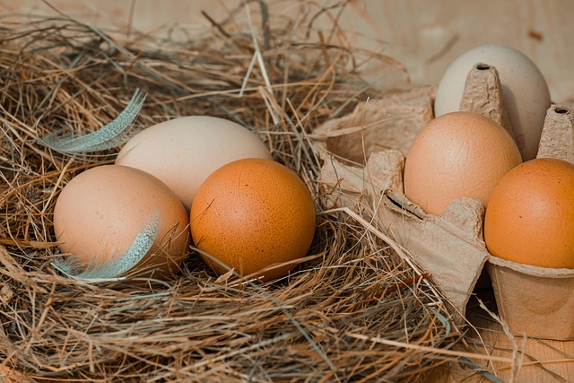 Master Product Liability Defense: Injury Claims & Strategies