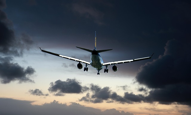 air purifier reviews