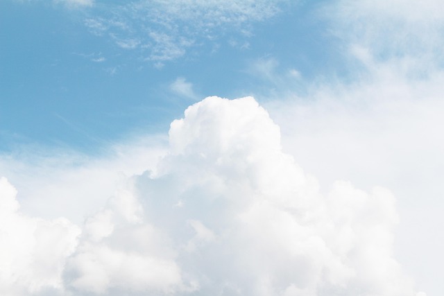 air purifiers