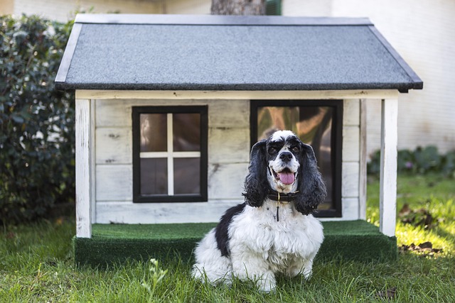 best air purifier for pets