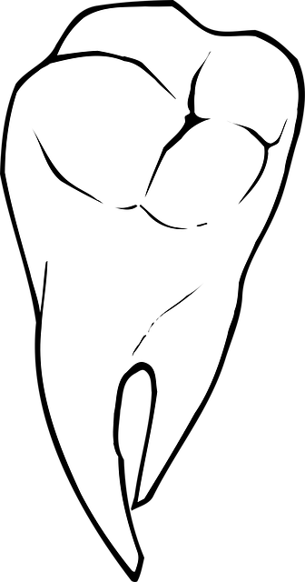 bite correction dentistry