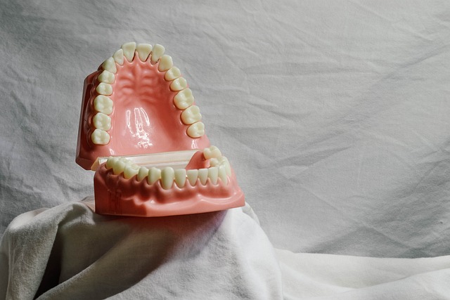 bite correction dentistry