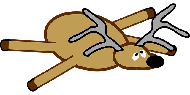 boating-accident-injuries-640x480-32585024.png