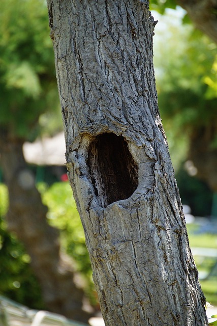 cavity prevention blog
