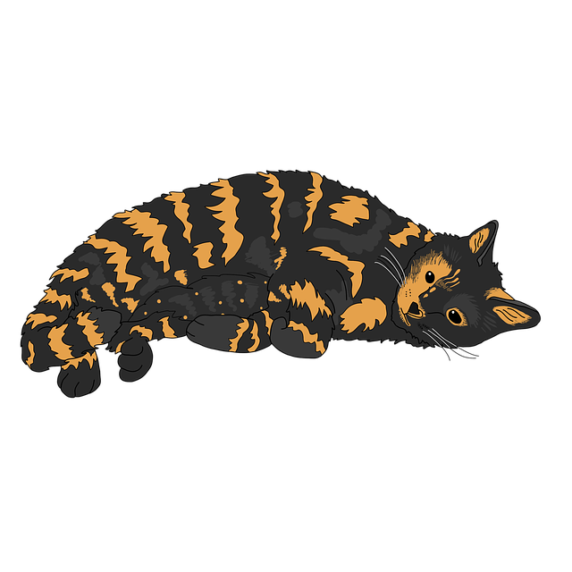 cute-orange-cats-640x480-72248982.png