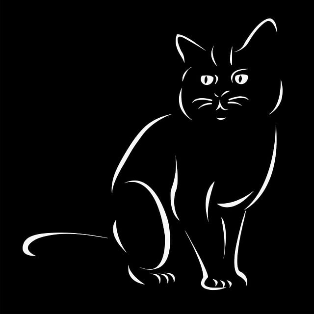 Domestic Cats