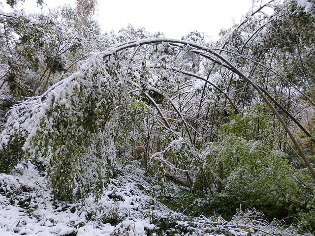 hurricane damage injuries