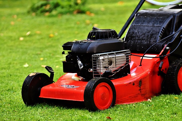 Transforming Yards: Lawn Care, Landscaping for All Seasons Retreats